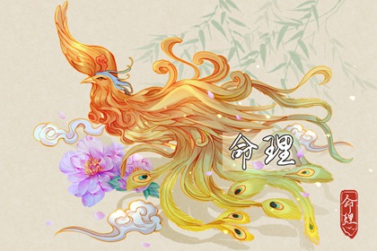 择吉皇历,老皇历万年历,老皇历查询